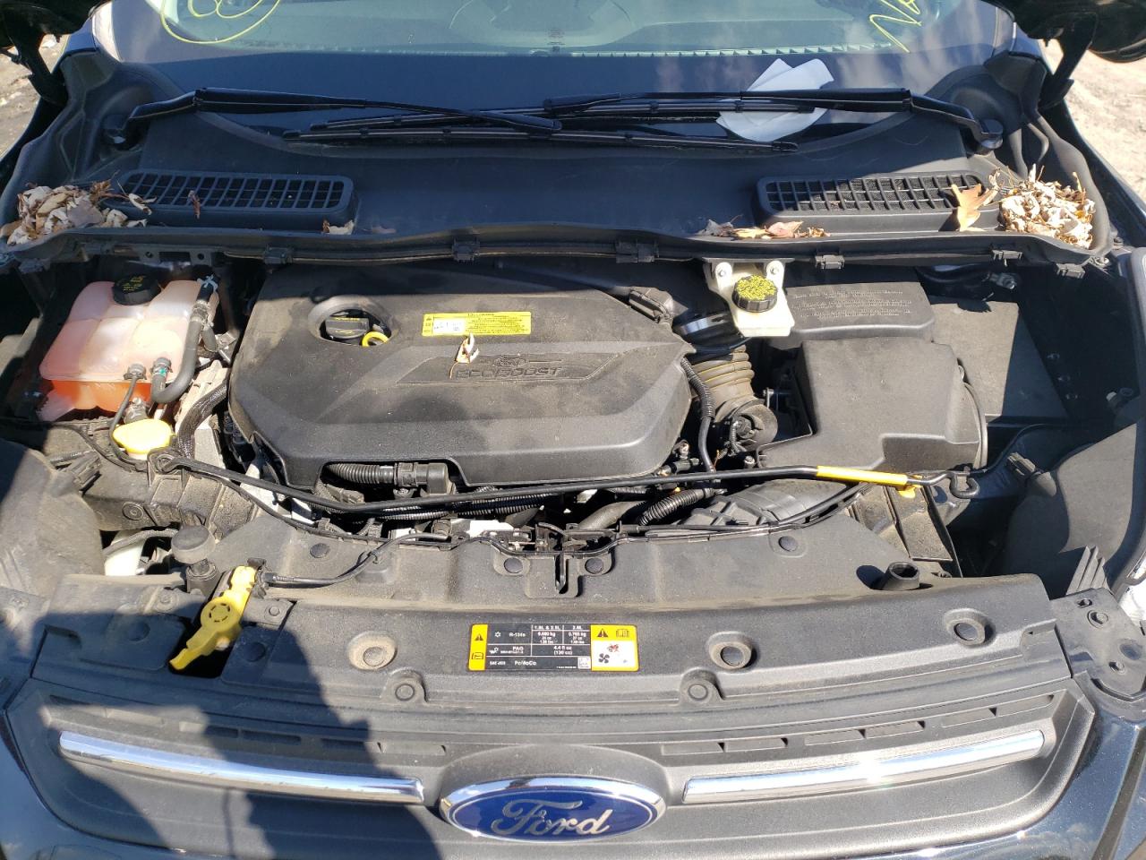 Photo 7 from auction – 2014 FORD ESCAPE SE with VIN 1FMCU0GX1EUA27689