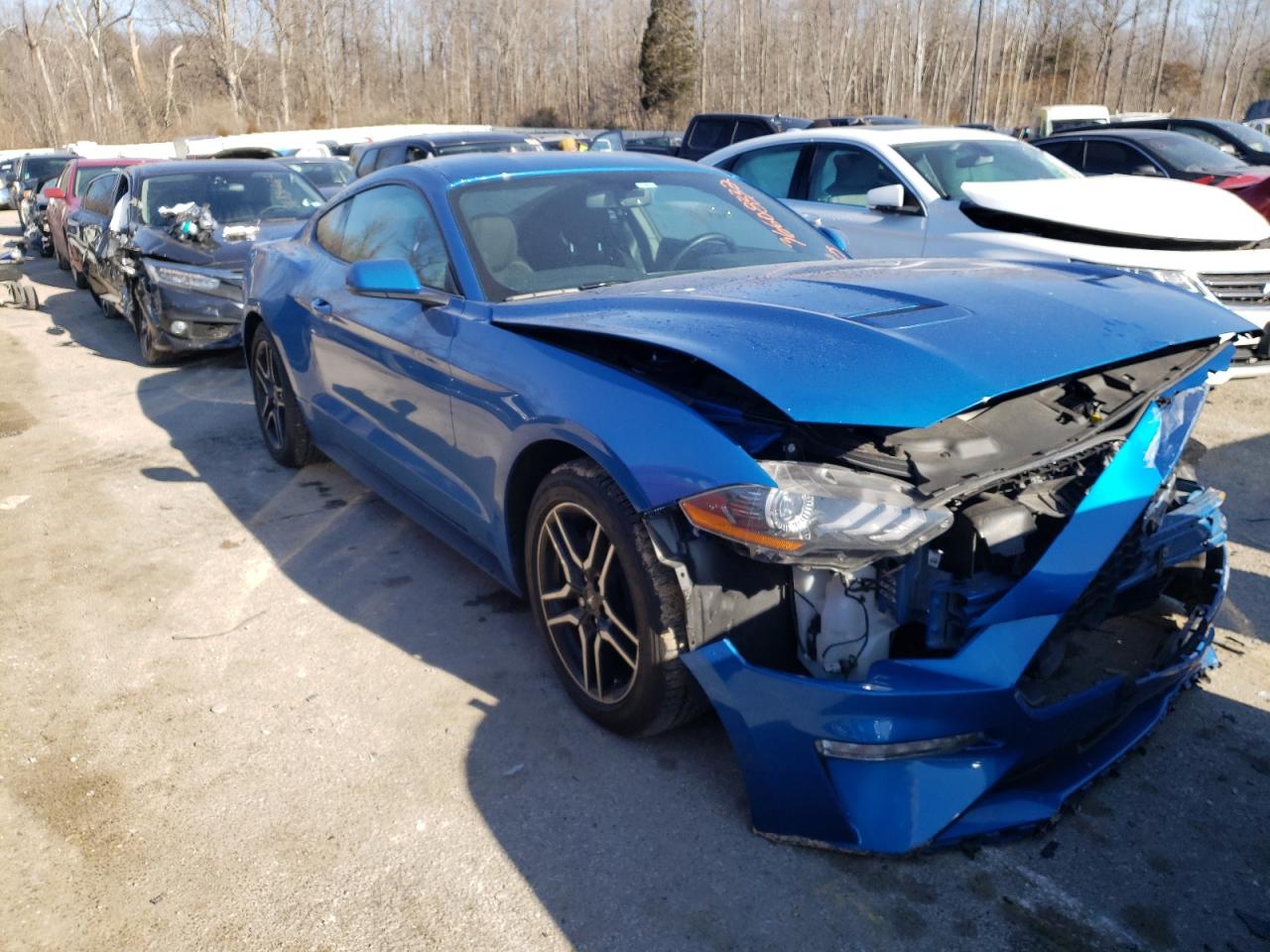 FORD MUSTANG 2019 with VIN 1FA6P8THXK5201194 - Photo from auction