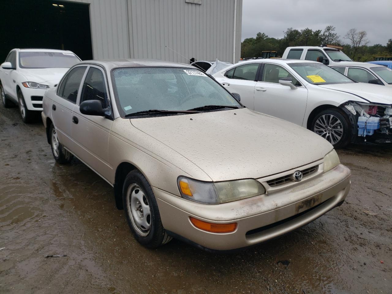 TOYOTA COROLLA 1996 with VIN 2T1BA02EXTC126794 - Photo from auction