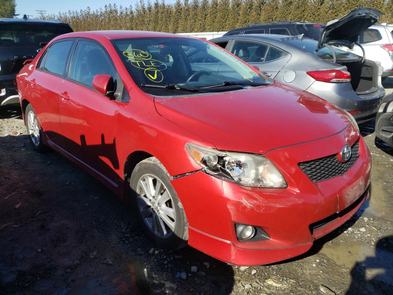 TOYOTA COROLLA BA 2010 with VIN 2T1BU4EE7AC339421 - Photo from auction