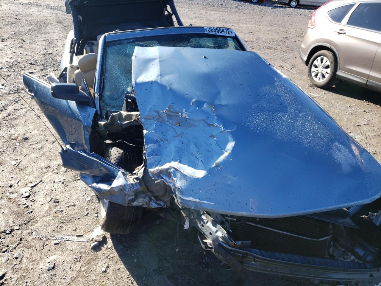Photo 7 from auction – 2007 FORD MUSTANG with VIN 1ZVFT84N175342329