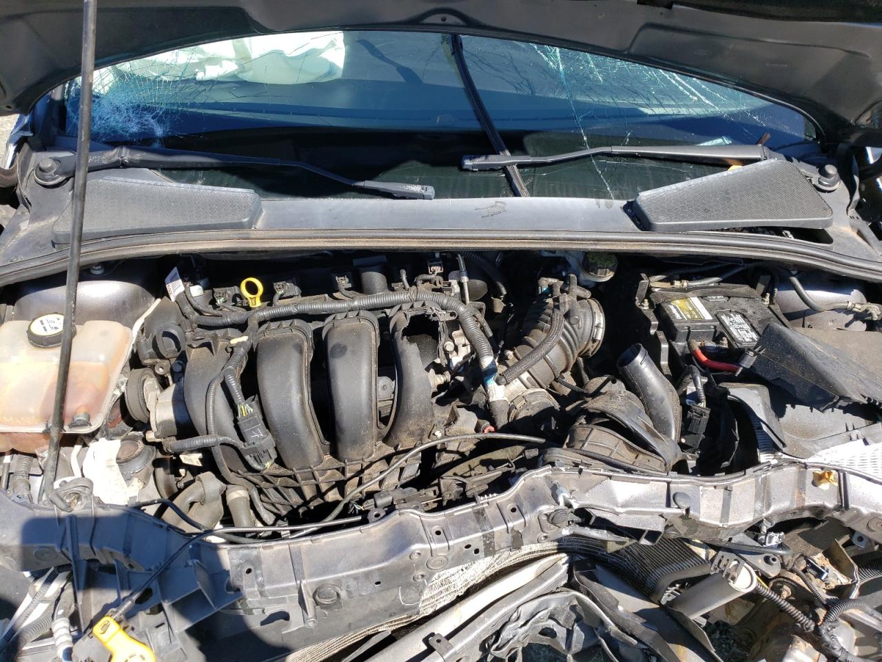 Photo 7 from auction – 2012 FORD FOCUS SEL with VIN 1FAHP3M2XCL473358