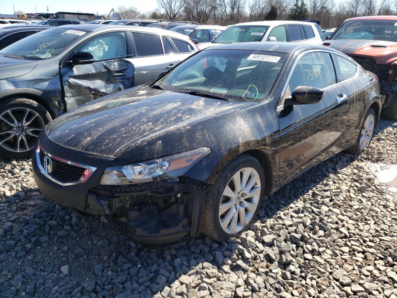 Photo 2 from auction – 2010 HONDA ACCORD EXL with VIN 1HGCS2B82AA006014