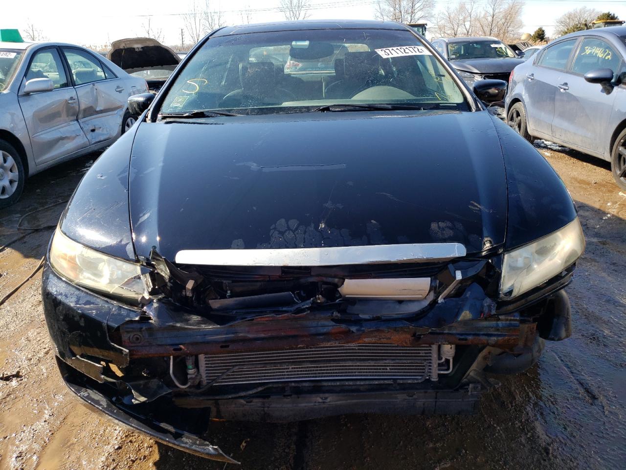 Photo 9 from auction – 2006 ACURA 3.2TL with VIN 19UUA66226A042779
