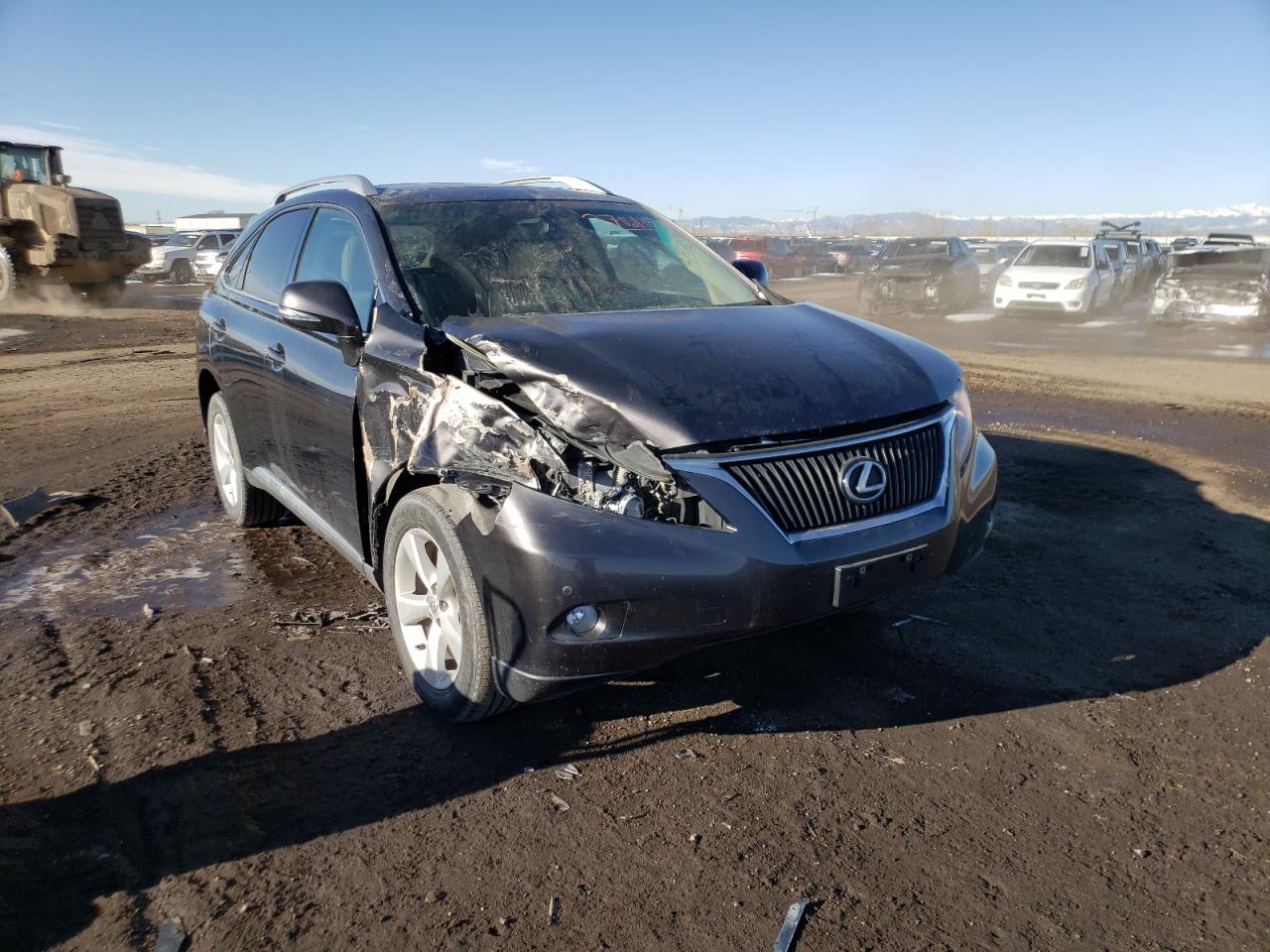 LEXUS RX 350 2010 with VIN 2T2BK1BA4AC039157 - Photo from auction