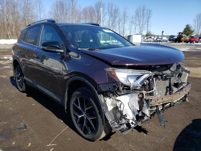 TOYOTA RAV4 SE 2017 with VIN 2T3JFREV5HW685096 - Photo from auction
