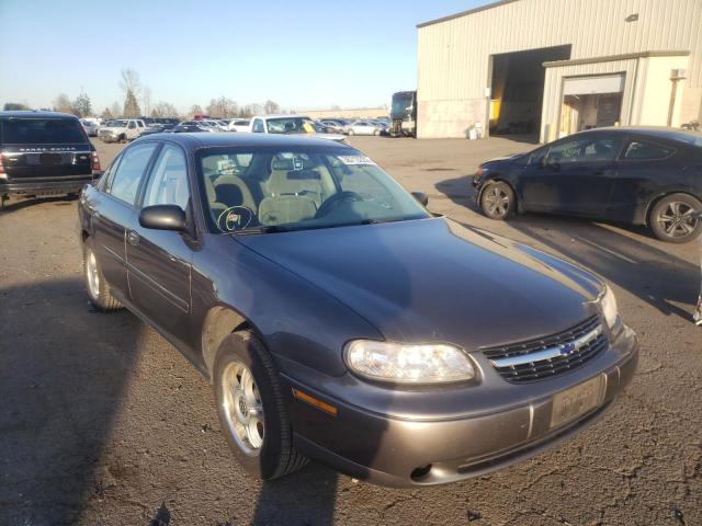 CHEVROLET MALIBU 2002 with VIN 1G1ND52J92M665545 - Photo from auction