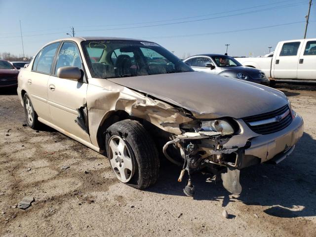 CHEVROLET MALIBU LS 2003 with VIN 1G1NE52J73M595333 - Photo from auction
