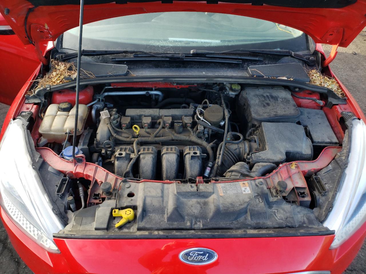 Photo 7 from auction – 2015 FORD FOCUS SE with VIN 1FADP3K2XFL202662