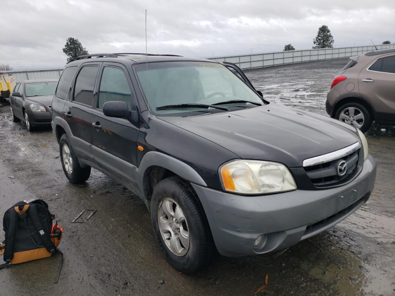 MAZDA TRIBUTE LX 2002 with VIN 4F2YU08132KM58384 - Photo from auction