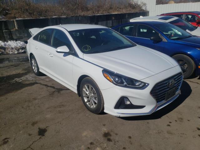 HYUNDAI SONATA SE 2019 with VIN 5NPE24AF2KH804395 - Photo from auction