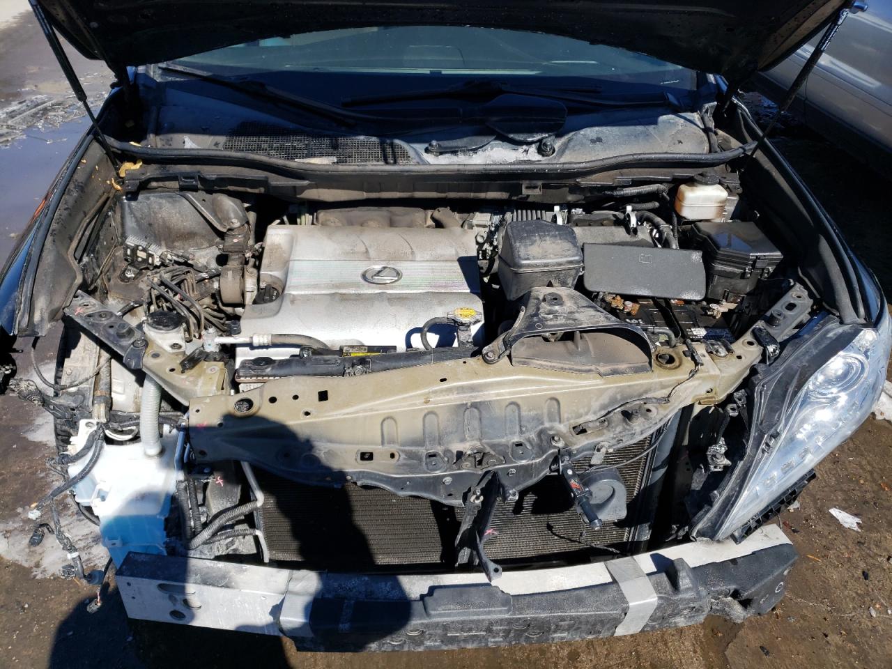 Photo 7 from auction – 2014 LEXUS RX 350 BAS with VIN 2T2BK1BAXEC234797
