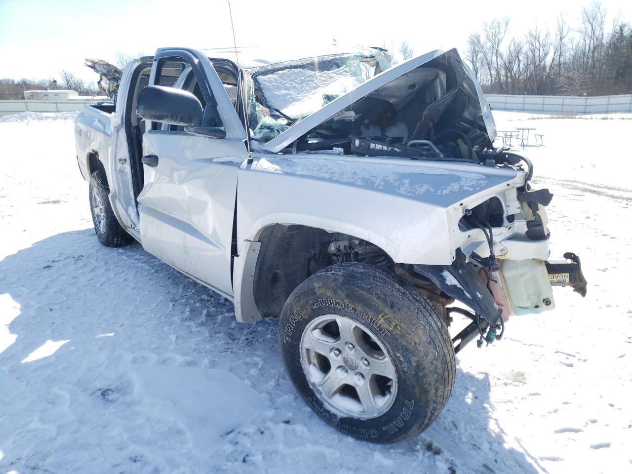 DODGE DAKOTA QUA 2007 with VIN 1D7HW48N97S118562 - Photo from auction
