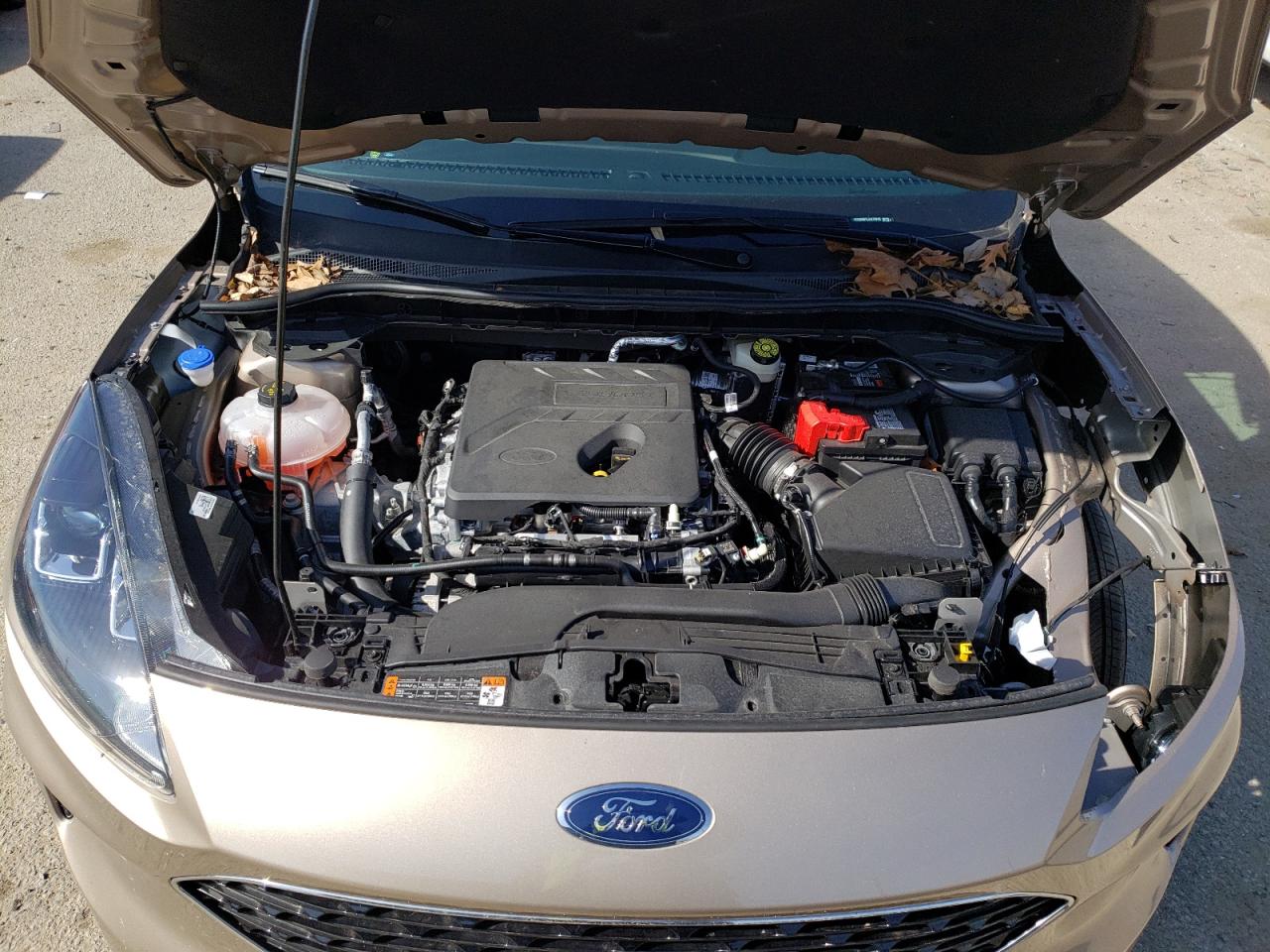 Photo 7 from auction – 2020 FORD ESCAPE SEL with VIN 1FMCU0H67LUA72915