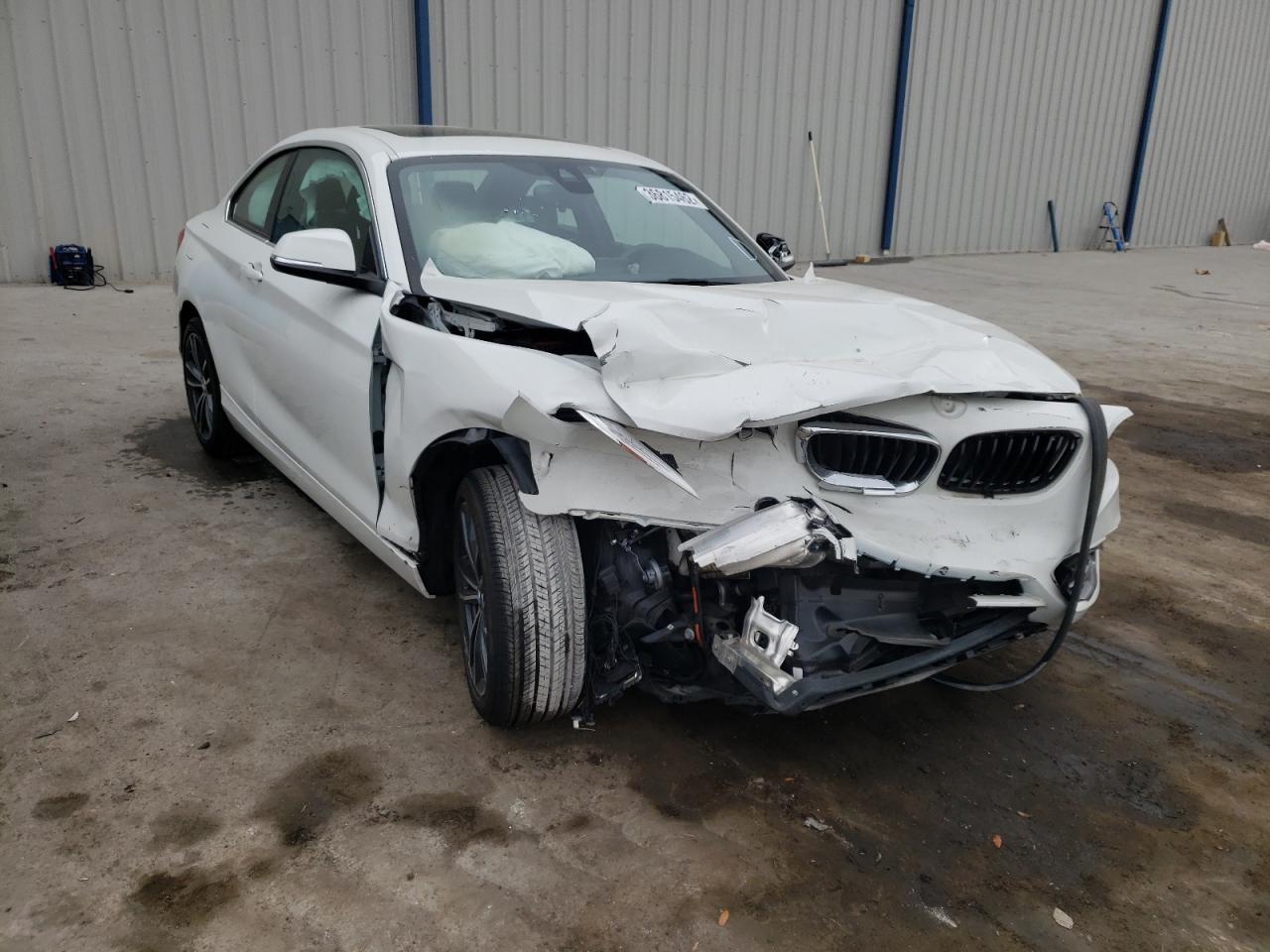 BMW 230I 2018 with VIN WBA2J1C50JVD08809 - Photo from auction