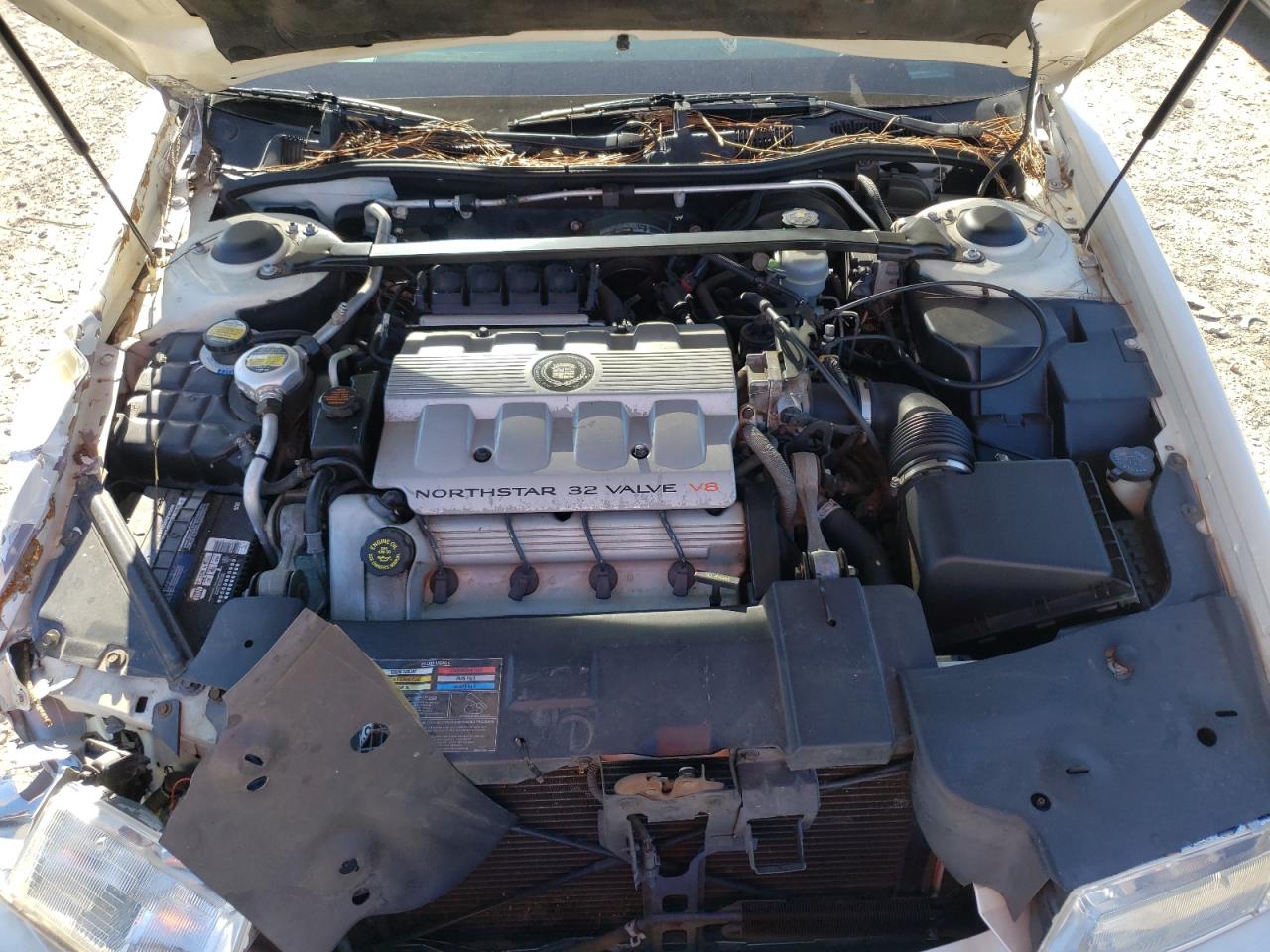 Photo 7 from auction – 1999 CADILLAC ELDORADO with VIN 1G6EL12Y5XU609693