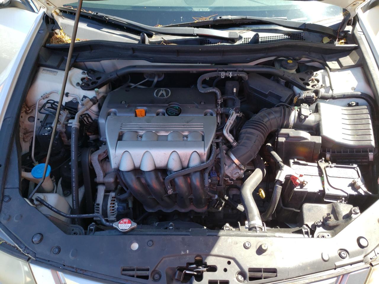 Photo 7 from auction – 2010 ACURA TSX with VIN JH4CU2F65AC000048