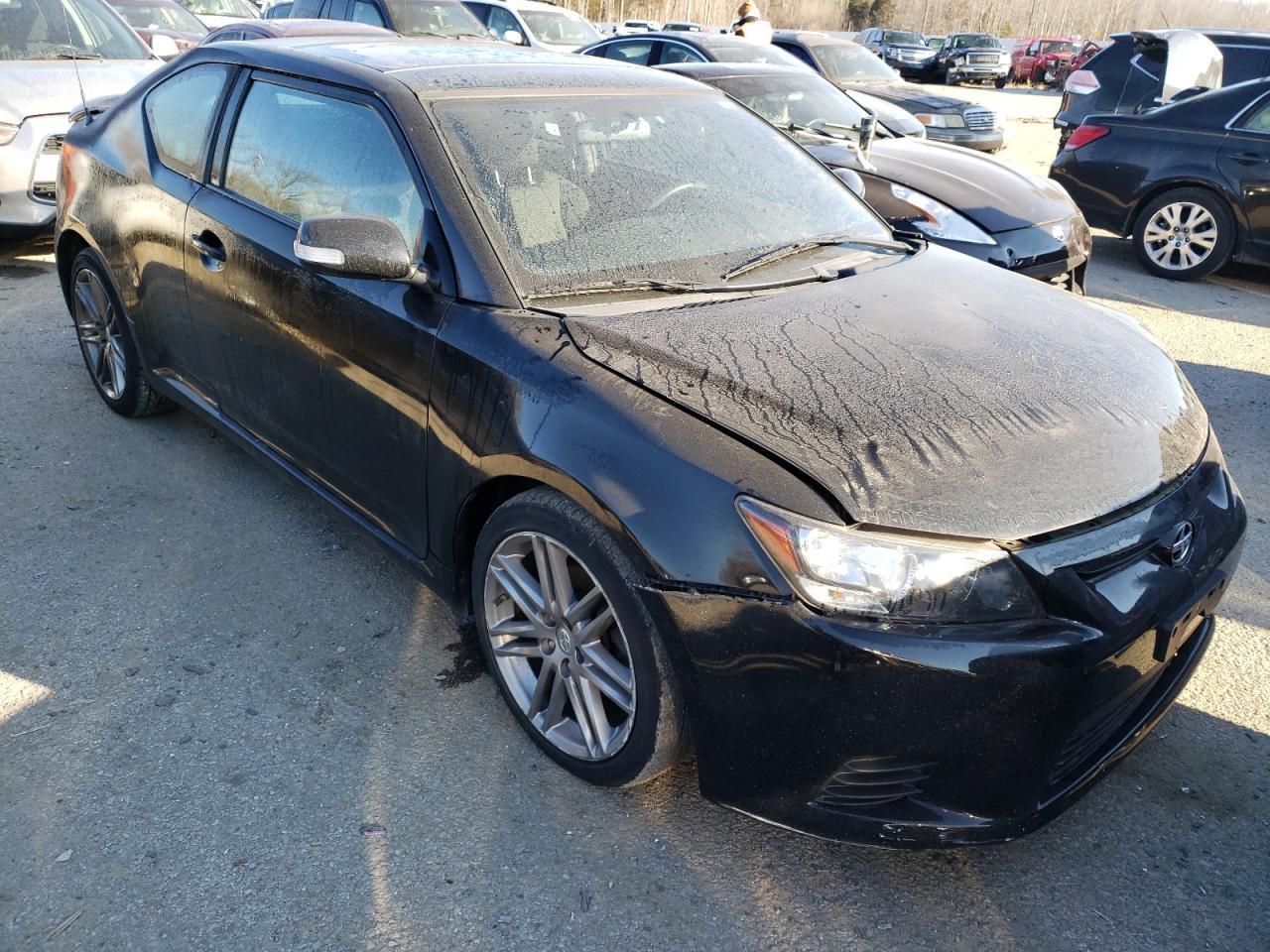TOYOTA SCION TC 2013 with VIN JTKJF5C78D3065068 - Photo from auction