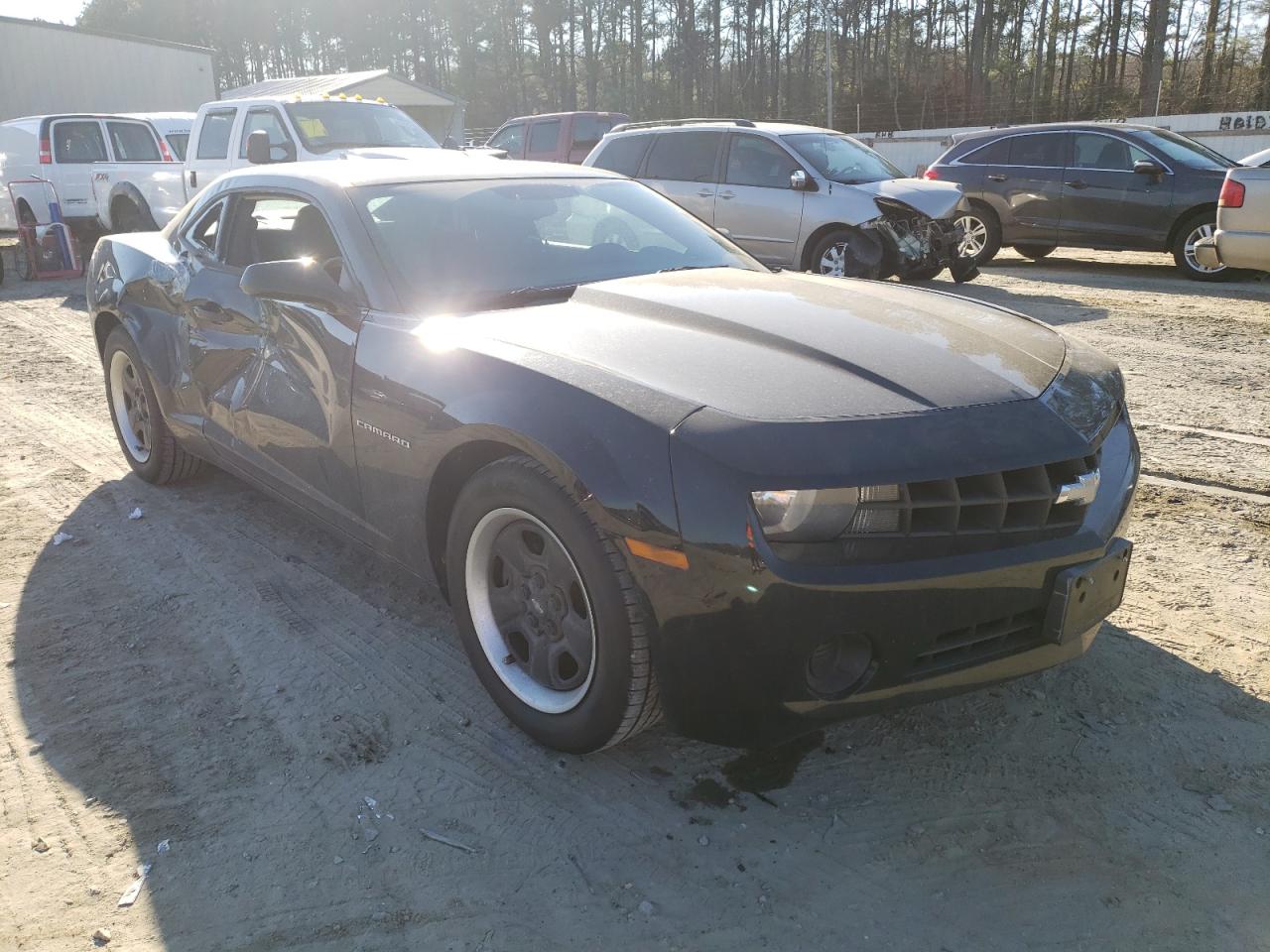 CHEVROLET CAMARO LS 2011 with VIN 2G1FE1ED7B9137970 - Photo from auction
