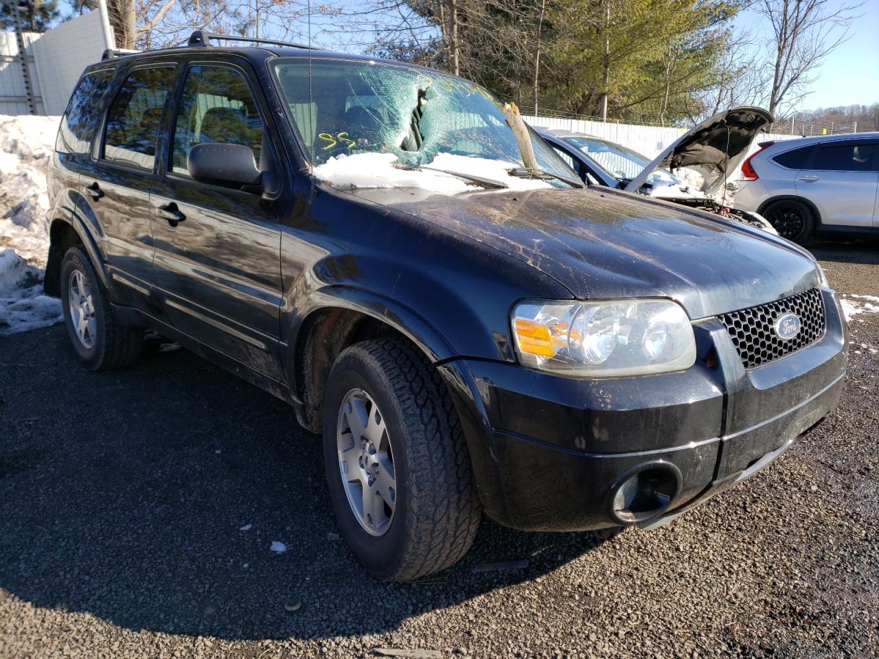 FORD ESCAPE LIM 2005 with VIN 1FMYU94125KA56379 - Photo from auction