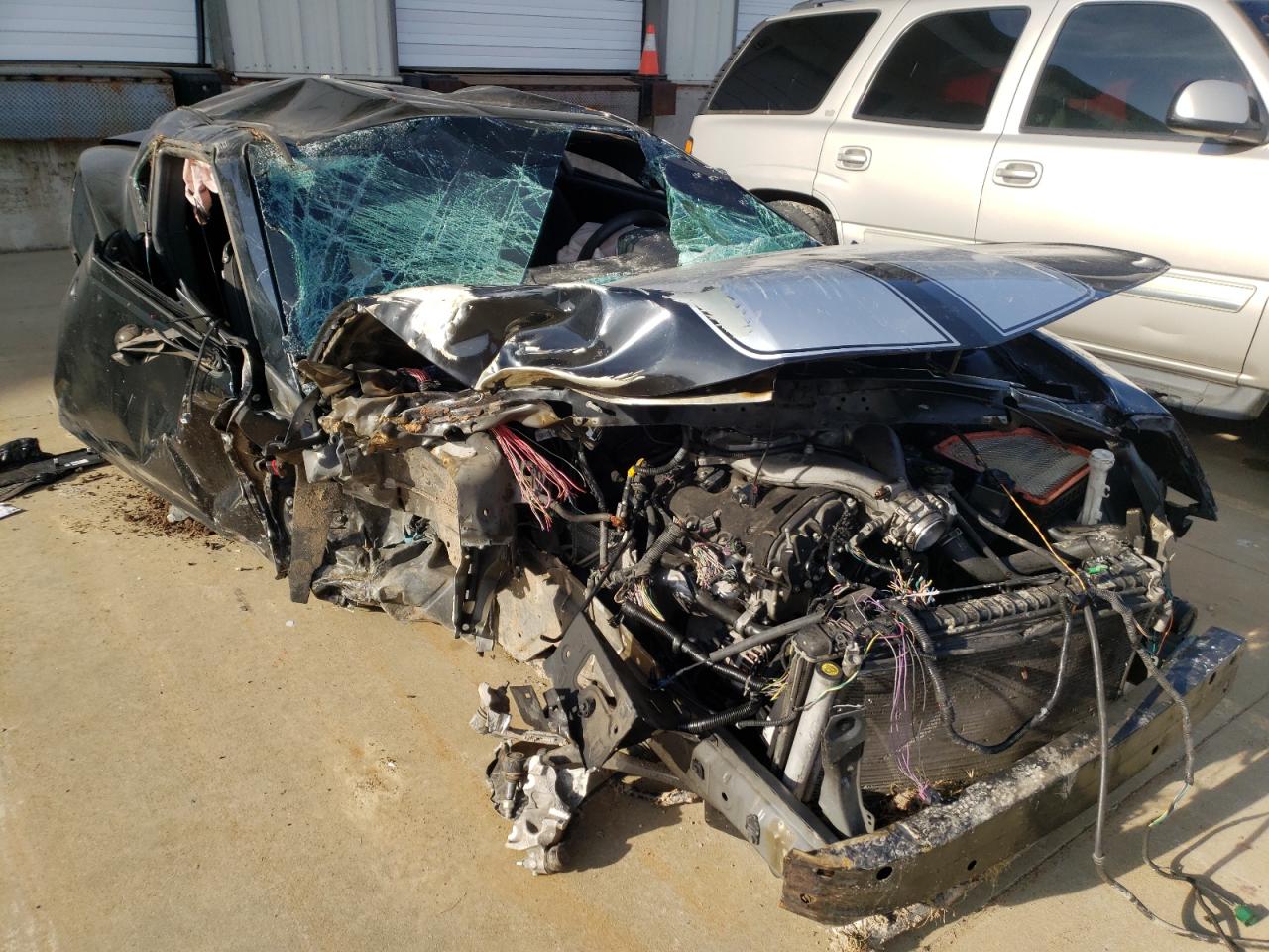 CHEVROLET CAMARO LS 2011 with VIN 2G1FA1ED5B9140636 - Photo from auction
