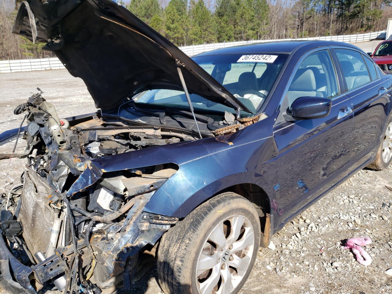 Photo 10 from auction – 2010 HONDA ACCORD with VIN 5KBCP3F87AB010200