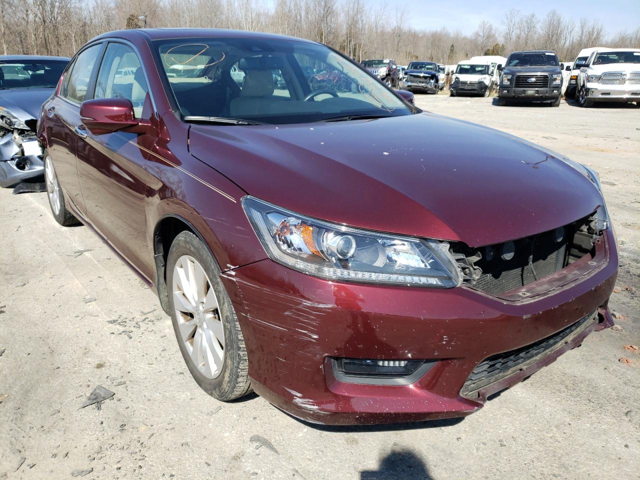 HONDA ACCORD EXL 2014 with VIN 1HGCR2F86EA067636 - Photo from auction