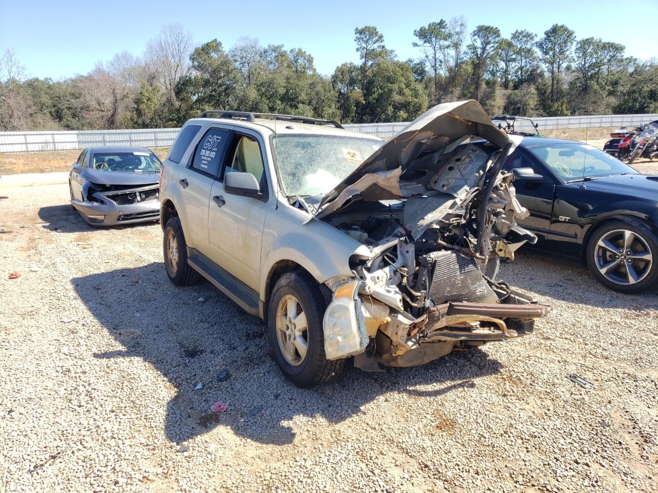 Photo 1 from auction – 2009 FORD ESCAPE XLT with VIN 1FMCU03G29KB71565