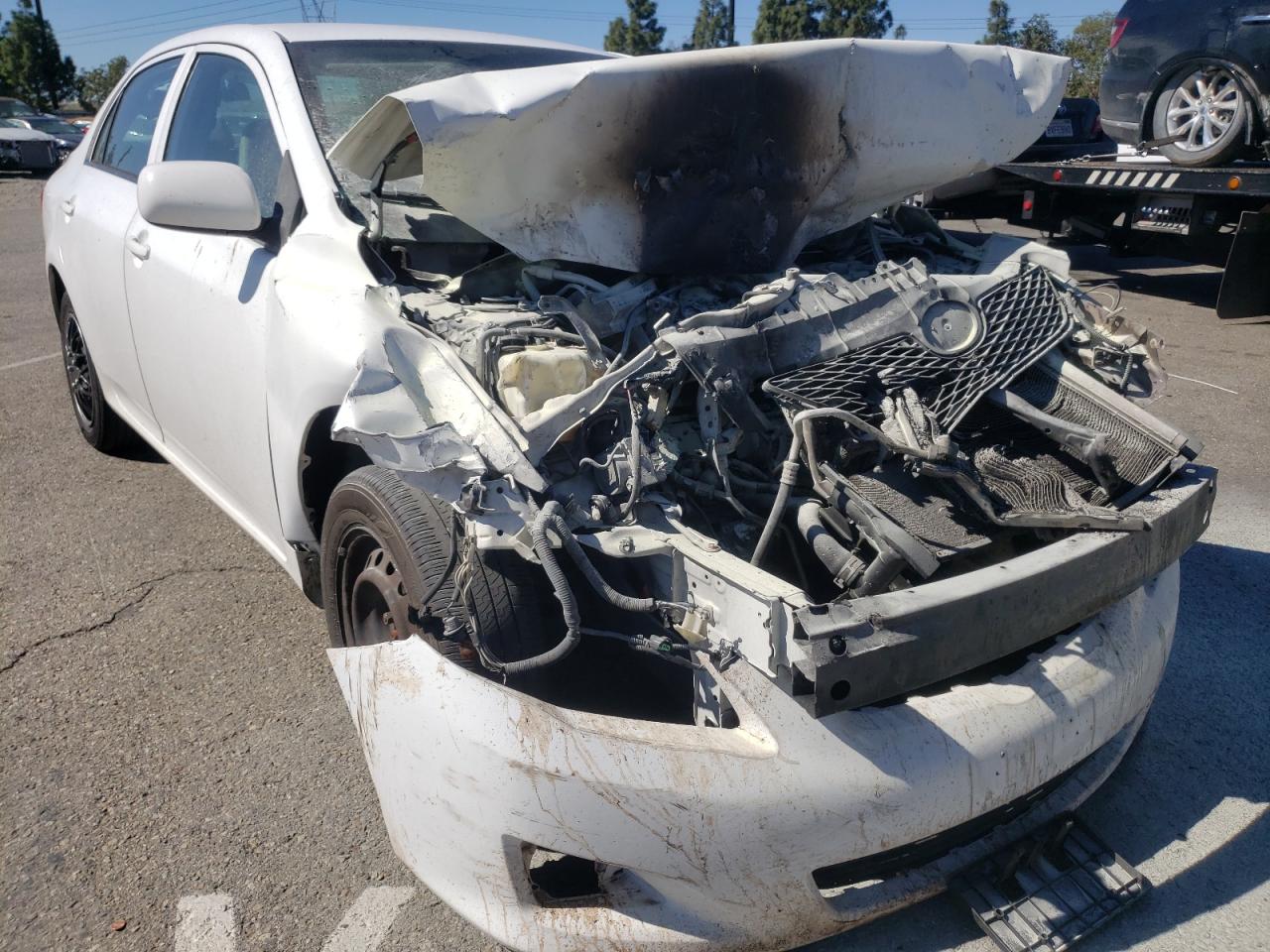 TOYOTA COROLLA BA 2009 with VIN 1NXBU40E89Z123790 - Photo from auction