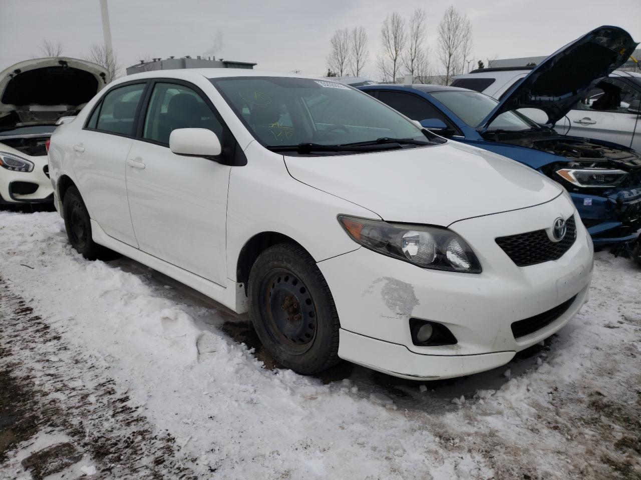 TOYOTA COROLLA BA 2009 with VIN 2T1BU40E99C131284 - Photo from auction