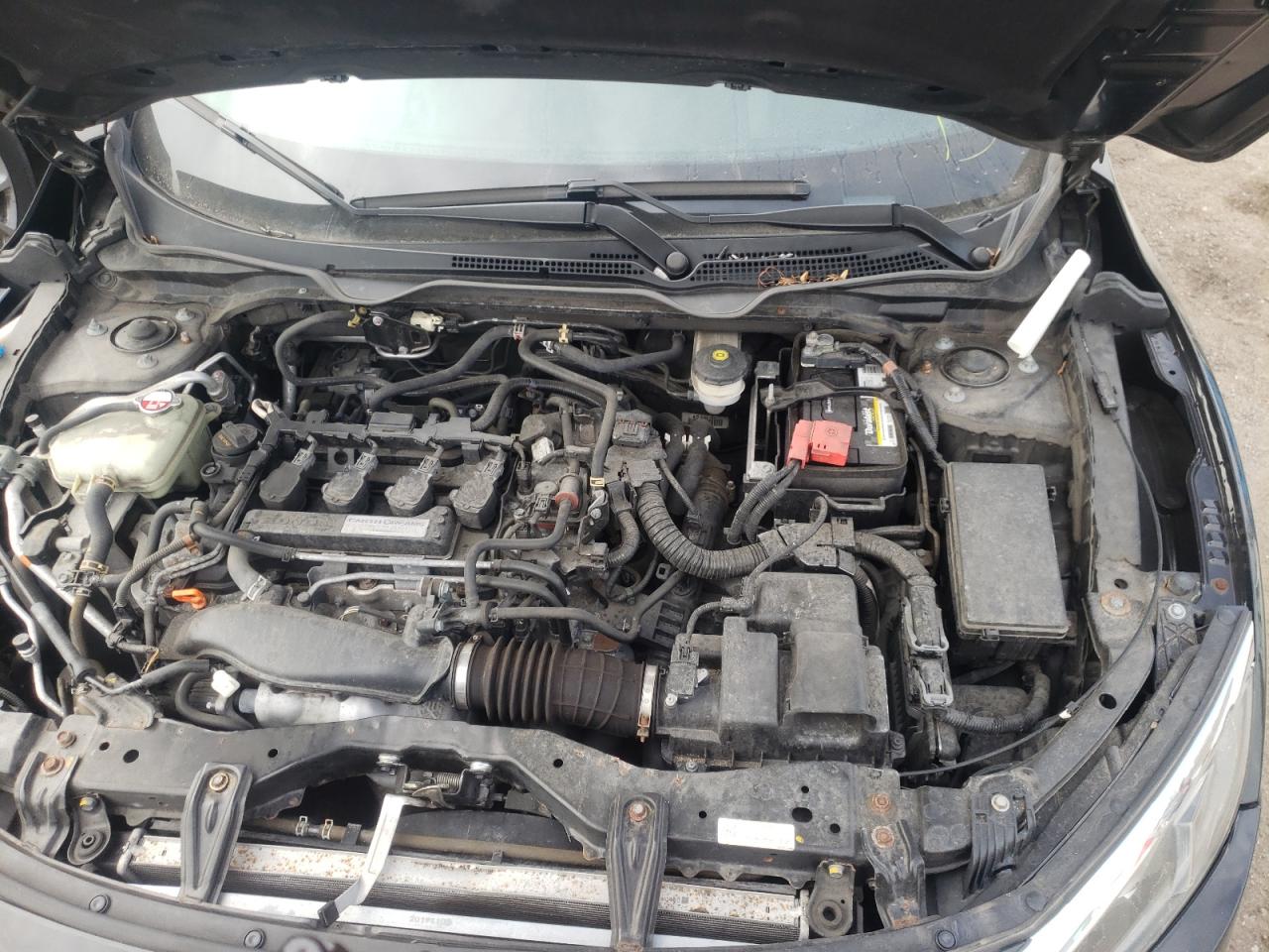 Photo 7 from auction – 2016 HONDA CIVIC EXL with VIN 2HGFC1F70GH633021