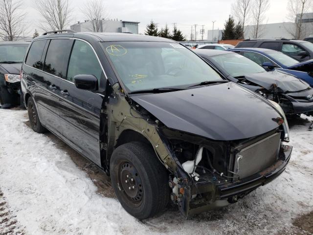 HONDA ODYSSEY EX 2008 with VIN 5FNRL38618B501971 - Photo from auction
