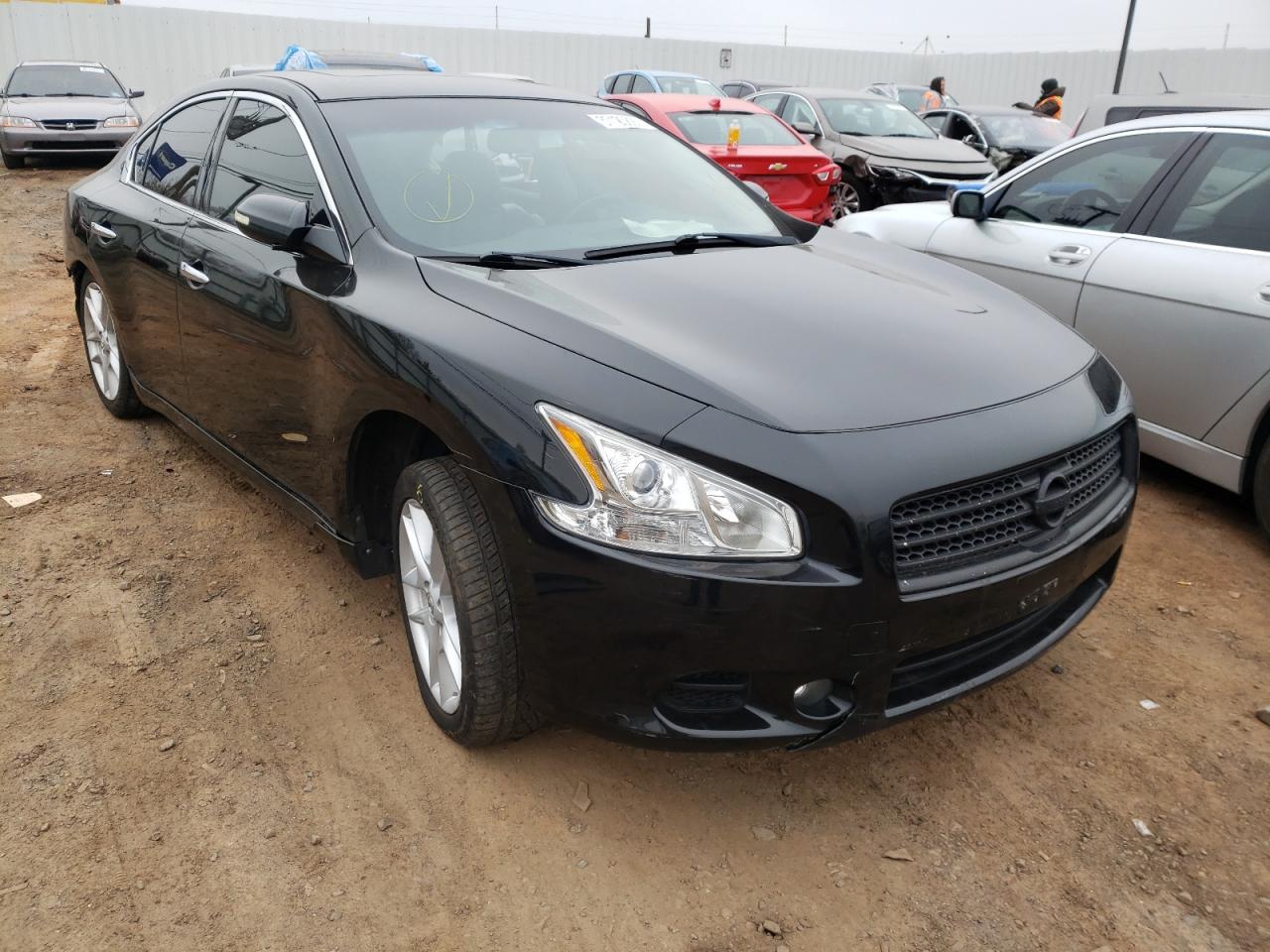 NISSAN MAXIMA S 2011 with VIN 1N4AA5APXBC813346 - Photo from auction