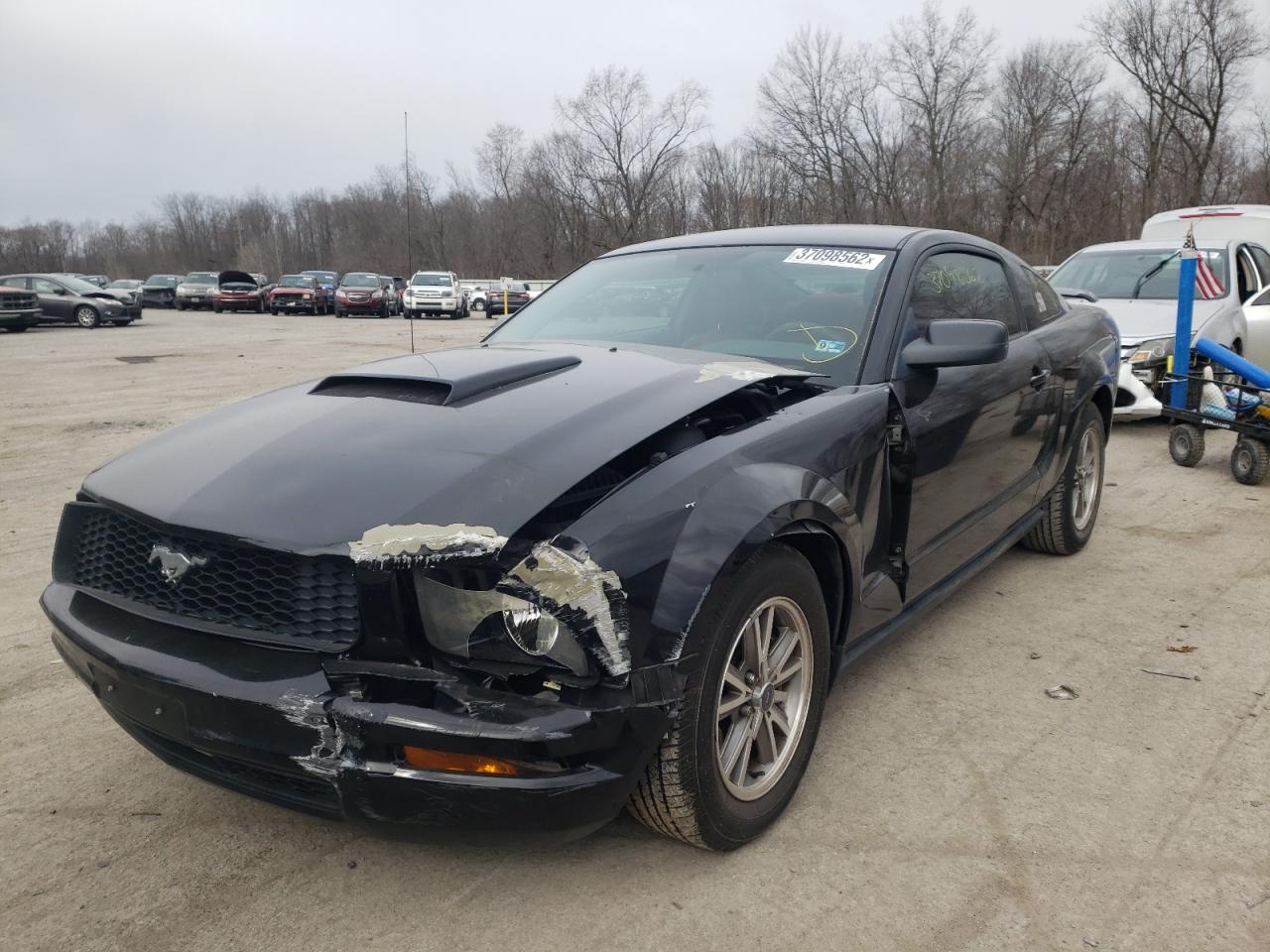 Photo 2 from auction – 2005 FORD MUSTANG with VIN 1ZVFT80N855232526