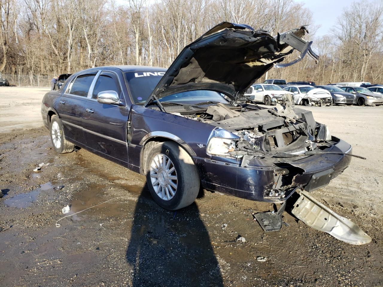 LINCOLN TOWN CAR E 2004 with VIN 1LNHM81WX4Y613917 - Photo from auction