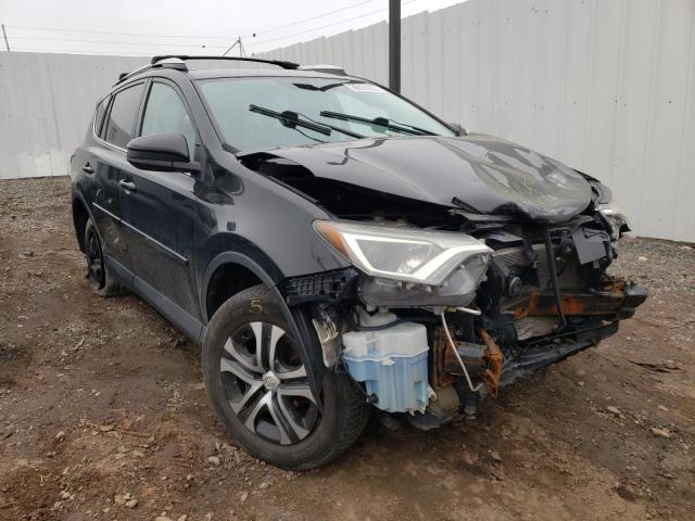 TOYOTA RAV4 LE 2016 with VIN 2T3BFREV0GW423604 - Photo from auction