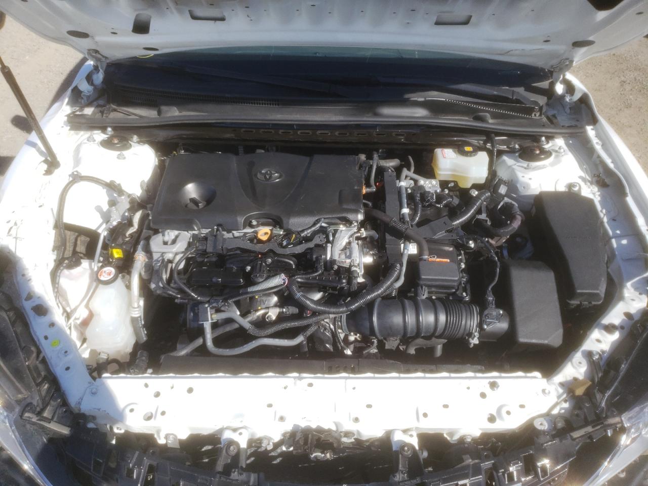 Photo 7 from auction – 2020 TOYOTA CAMRY LE with VIN 4T1C31AK0LU538782
