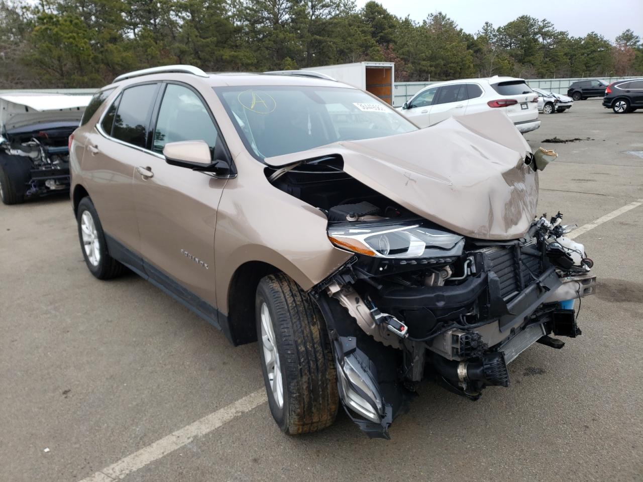 CHEVROLET EQUINOX LT 2019 with VIN 2GNAXUEV2K6173421 - Photo from auction