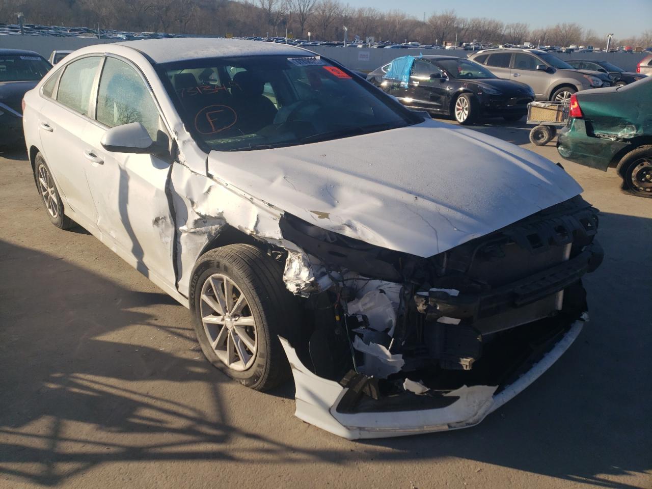 HYUNDAI SONATA SE 2019 with VIN 5NPE24AF2KH731349 - Photo from auction