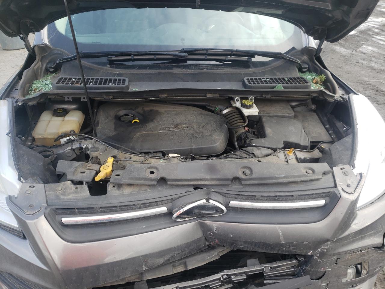 Photo 7 from auction – 2014 FORD ESCAPE SE with VIN 1FMCU9GX6EUE41684