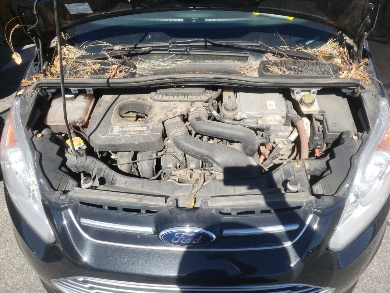Photo 7 from auction – 2013 FORD C-MAX SEL with VIN 1FADP5BU8DL513193