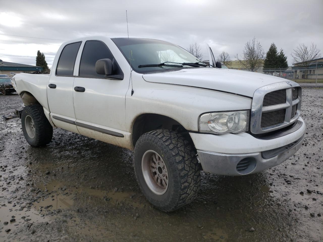 DODGE RAM 1500 2002 with VIN 1B7HU18Z82J112591 - Photo from auction