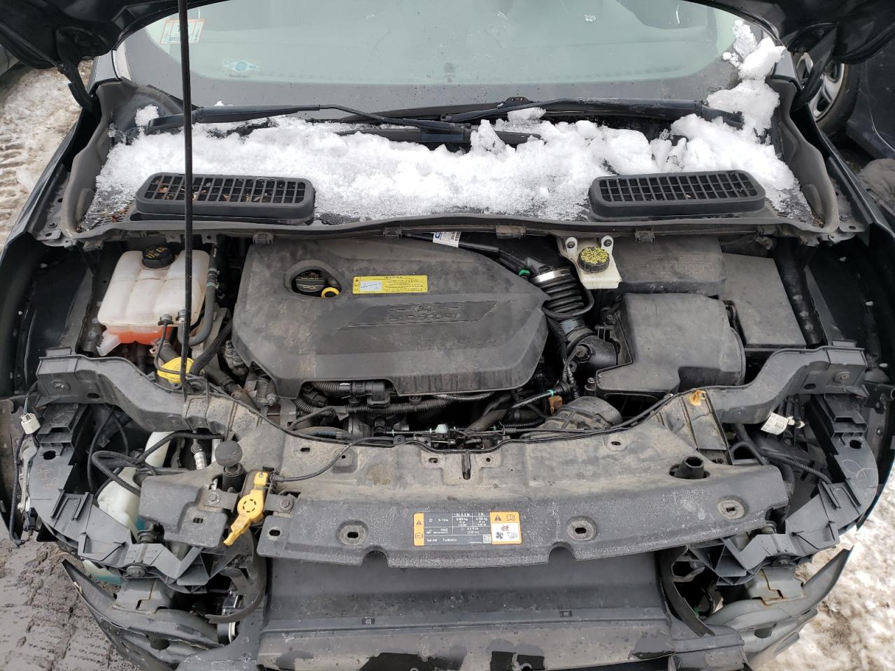 Photo 7 from auction – 2014 FORD ESCAPE SE with VIN 1FMCU9GX1EUA09648