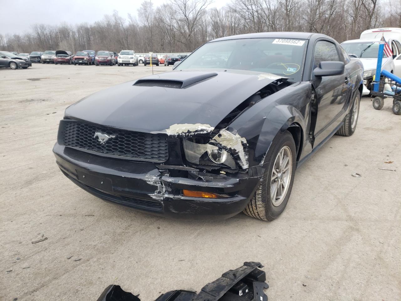 Photo 9 from auction – 2005 FORD MUSTANG with VIN 1ZVFT80N855232526