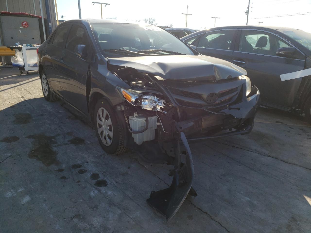 TOYOTA COROLLA BA 2011 with VIN 2T1BU4EE9BC650768 - Photo from auction