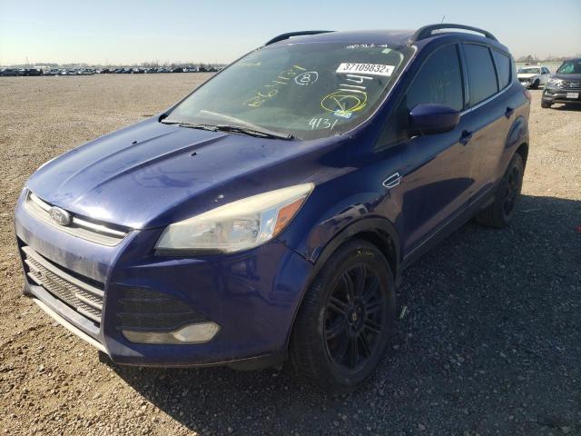 Photo 9 from auction – 2014 FORD ESCAPE SE with VIN 1FMCU0G98EUB64131