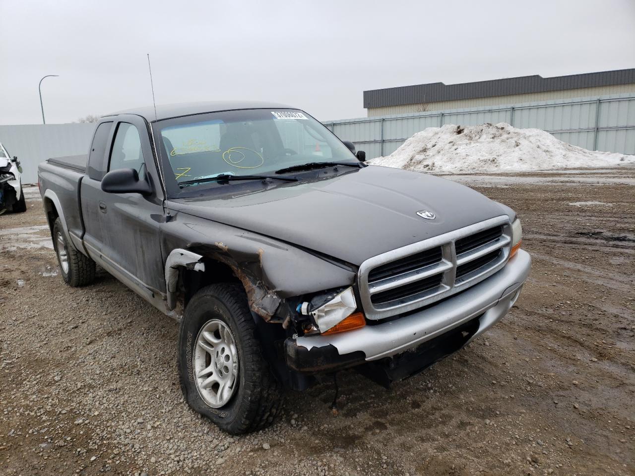 DODGE DAKOTA SLT 2004 with VIN 1D7HG42N04S634083 - Photo from auction