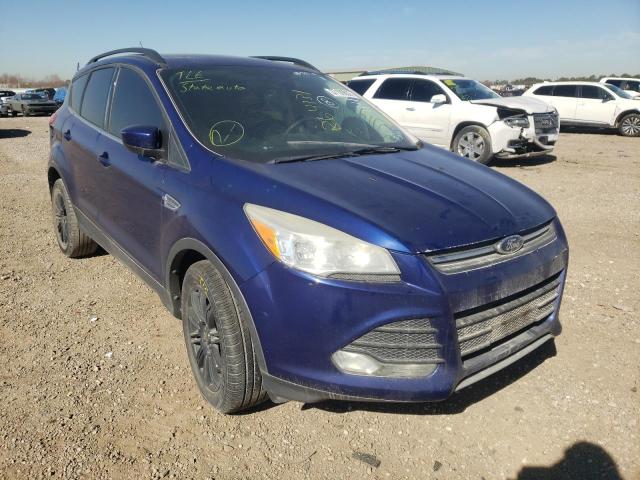 FORD ESCAPE SE 2014 with VIN 1FMCU0G98EUB64131 - Photo from auction