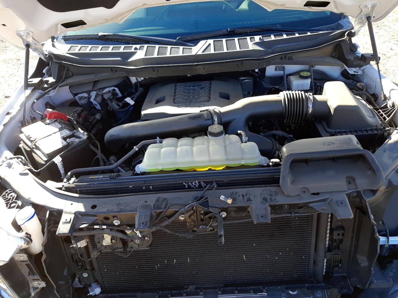 Photo 17 from auction – 2021 FORD F150 SUPER with VIN 1FTFW1E85MFB04757