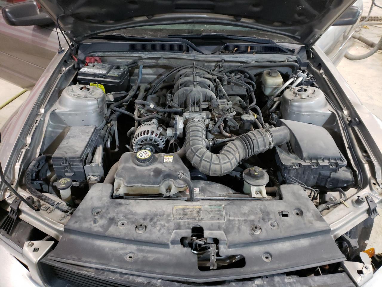Photo 7 from auction – 2008 FORD MUSTANG with VIN 1ZVHT80N185179844